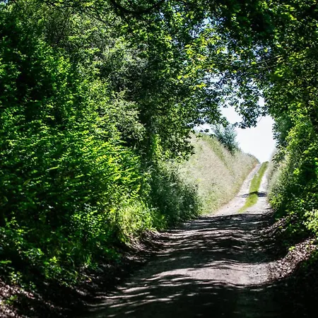 Art'aviation Bed & Breakfast Beauvechain