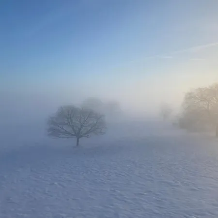 Art'aviation Bed & Breakfast Beauvechain