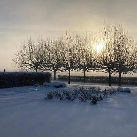 Art'aviation Bed & Breakfast Beauvechain